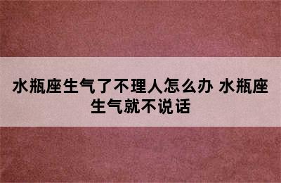 水瓶座生气了不理人怎么办 水瓶座生气就不说话